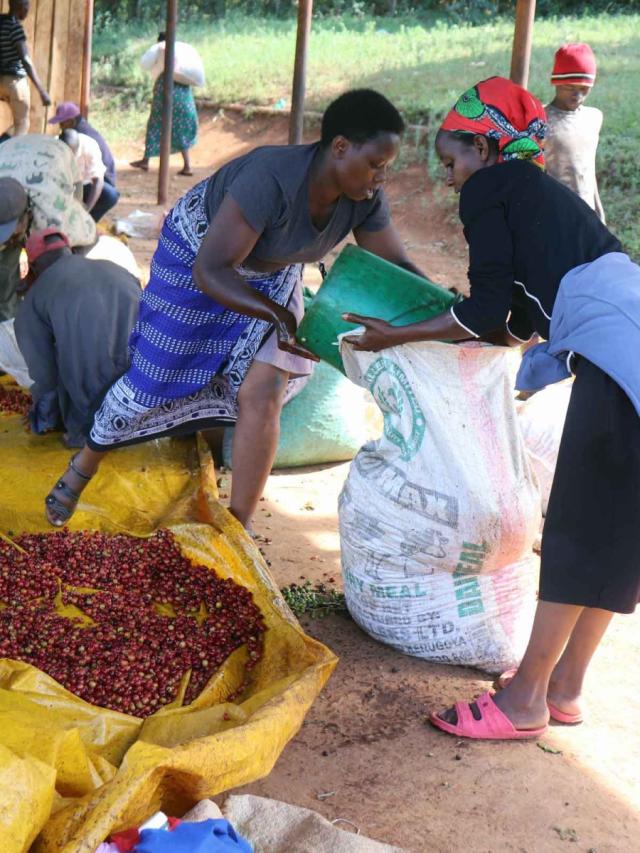 LifestyleB2CSecondaryImageWebName 