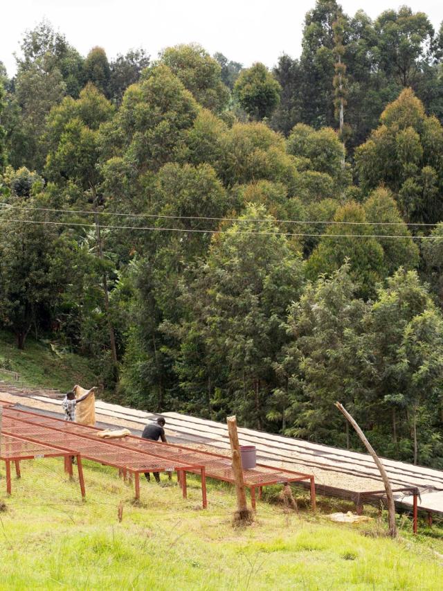 LifestyleB2CTertiaryImageWebName 