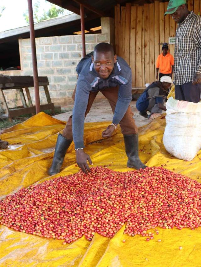 Kenya Gicherori Lysristet