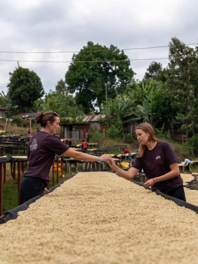 LifestyleB2CPrimaryImageWebName 