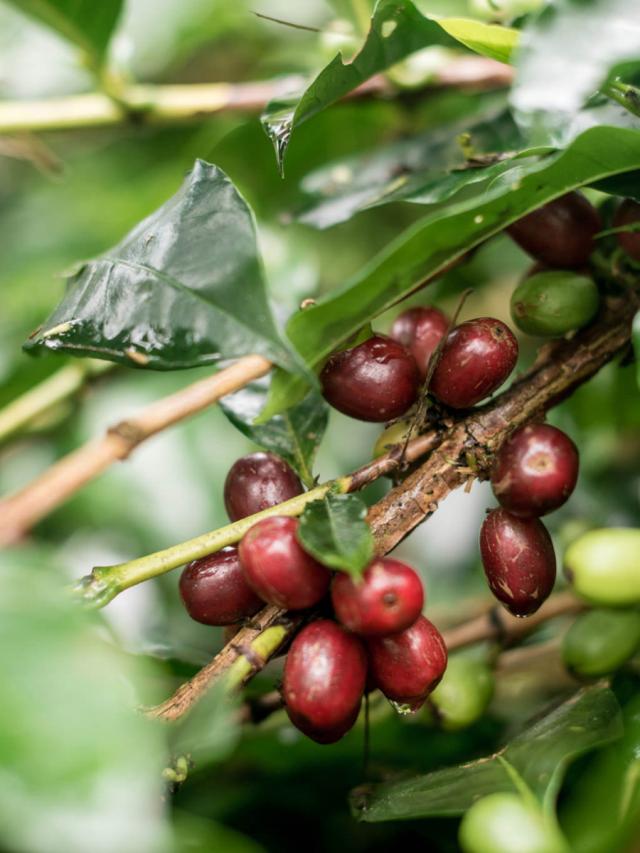 LifestyleB2CSecondaryImageWebName 