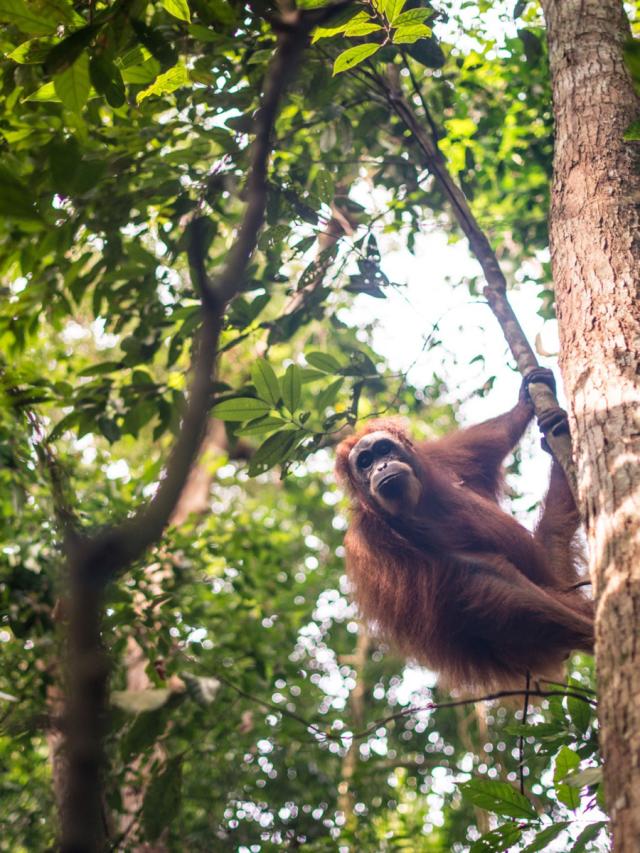 LifestyleB2CTertiaryImageWebName 