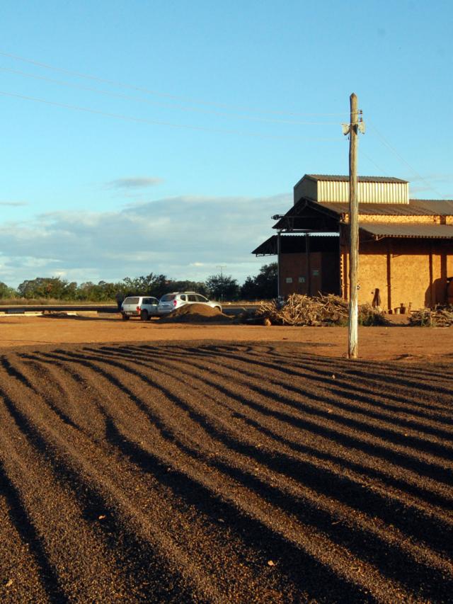 LifestyleB2CQuaternaryImageWebName  