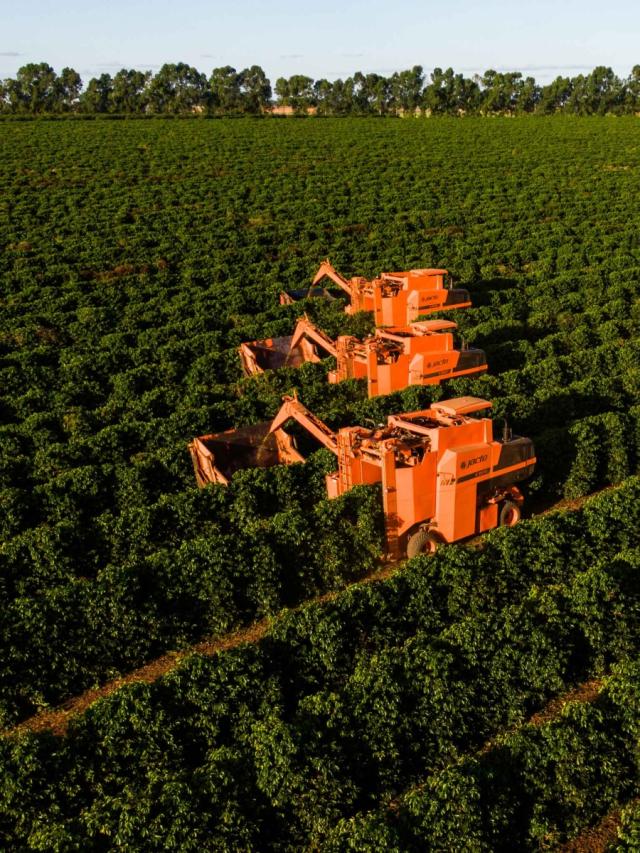 LifestyleB2CTertiaryImageWebName 