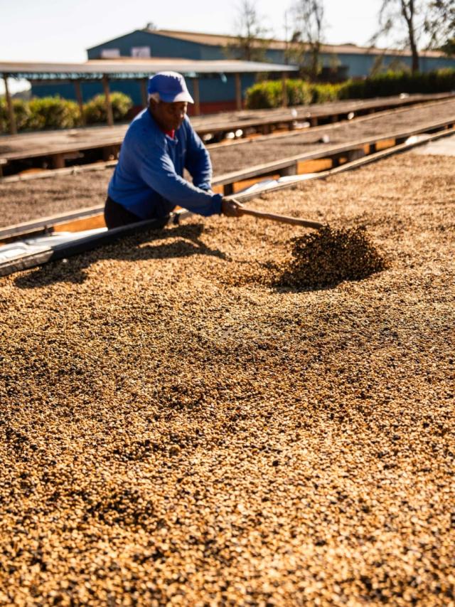 LifestyleB2CSecondaryImageWebName 