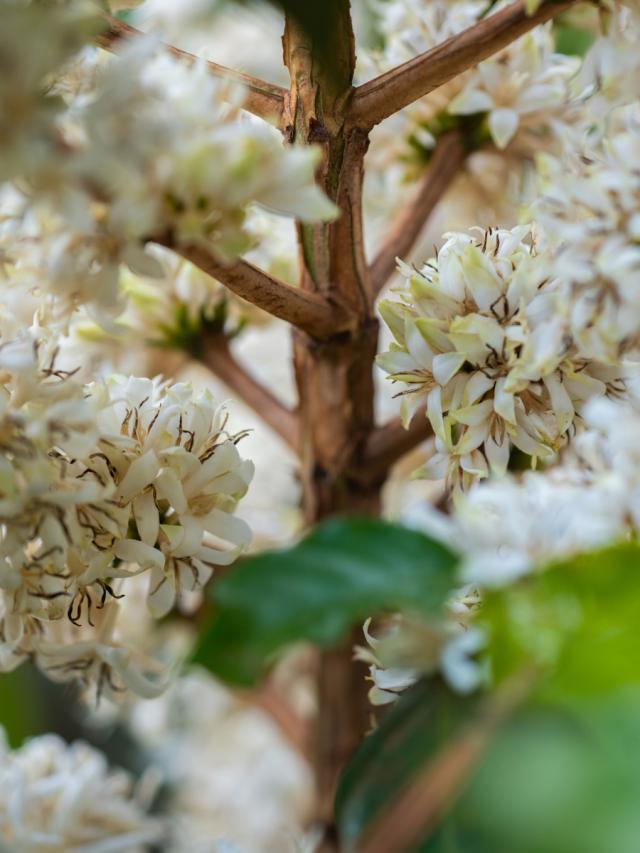 LifestyleB2CQuaternaryImageWebName  