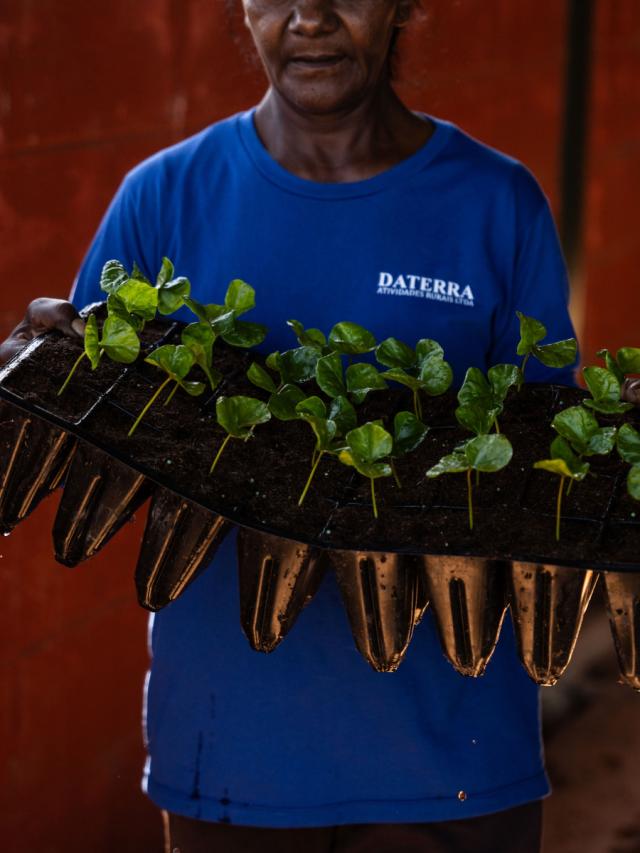 Brasilien Daterra Mellemristet