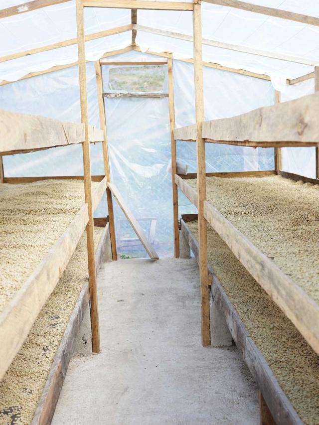 LifestyleB2CSecondaryImageWebName 