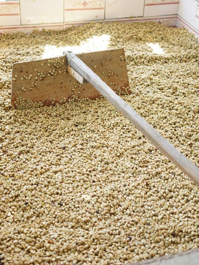 LifestyleB2CTertiaryImageWebName 