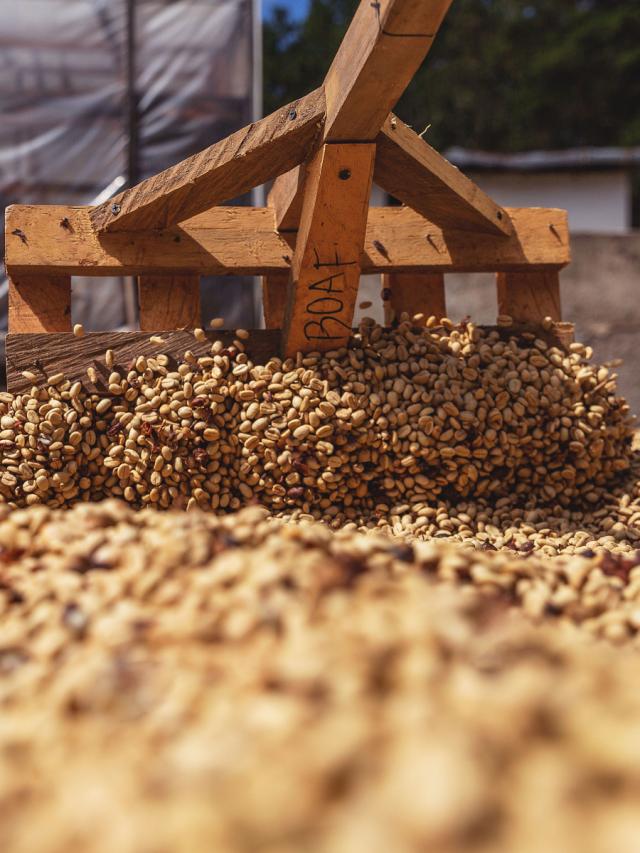 LifestyleB2CTertiaryImageWebName 