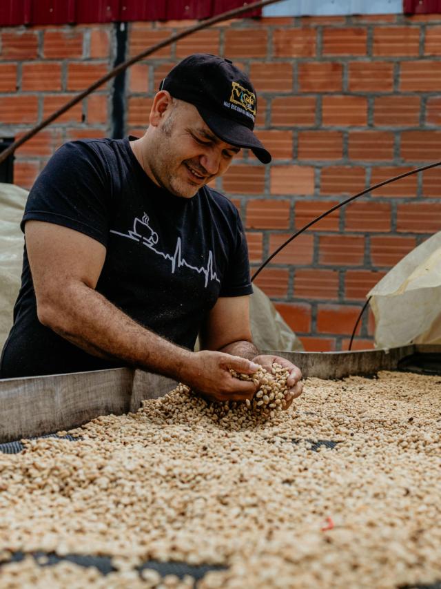 Økologisk Mellemristet