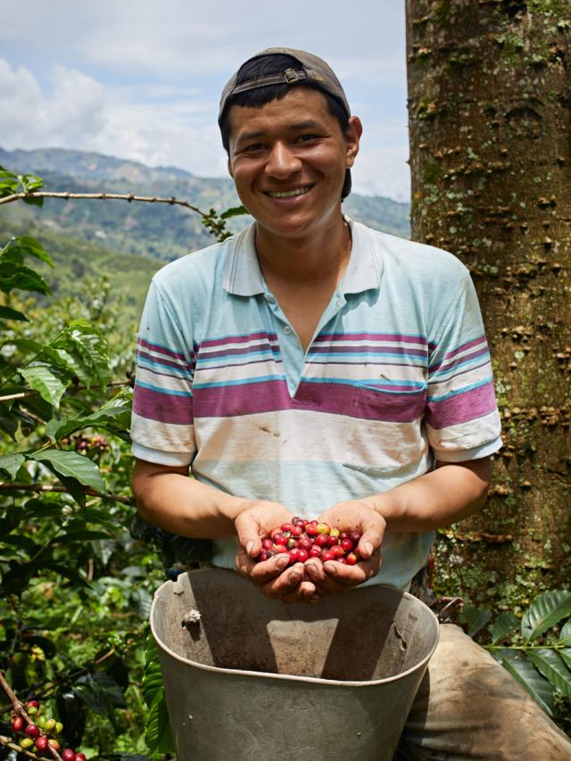 LifestyleB2CPrimaryImageWebName 