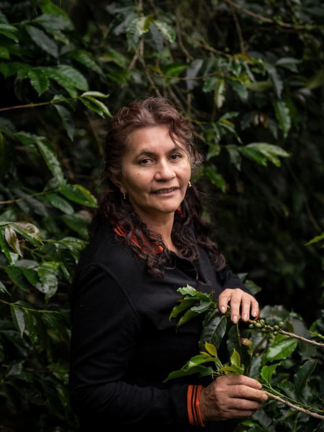 LifestyleB2CQuaternaryImageWebName  