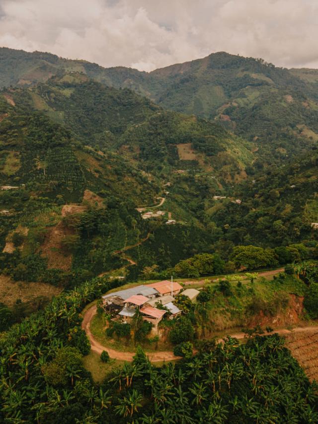 LifestyleB2CTertiaryImageWebName 