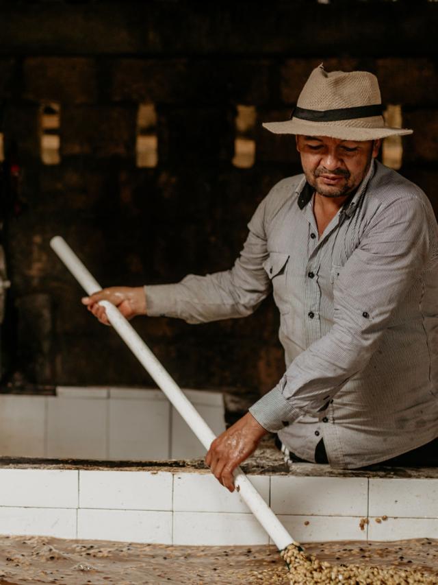 Økologisk Mellemristet