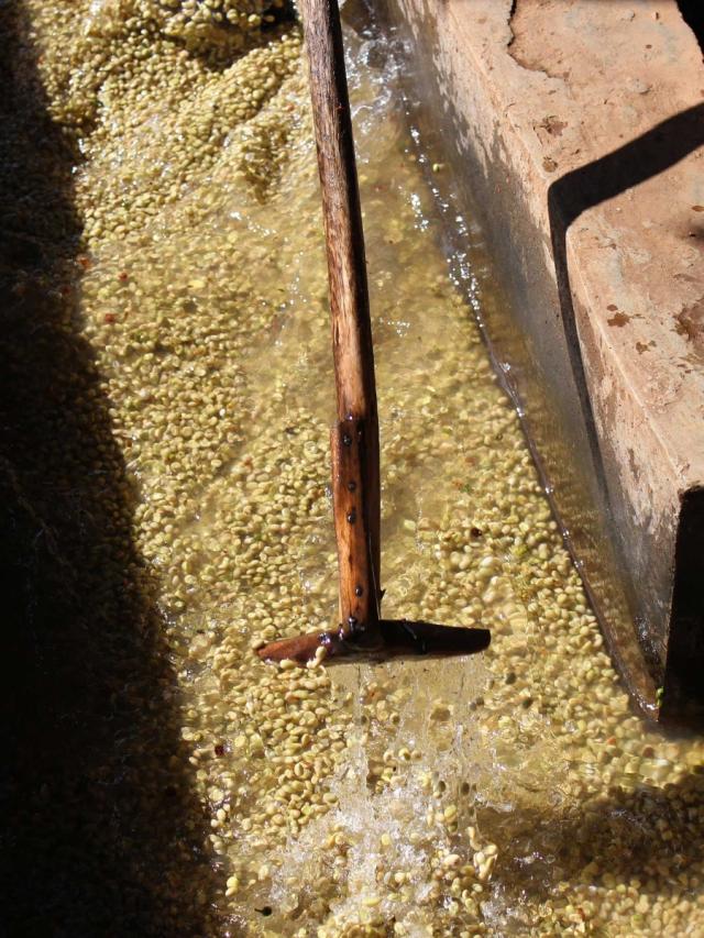 LifestyleB2CTertiaryImageWebName 