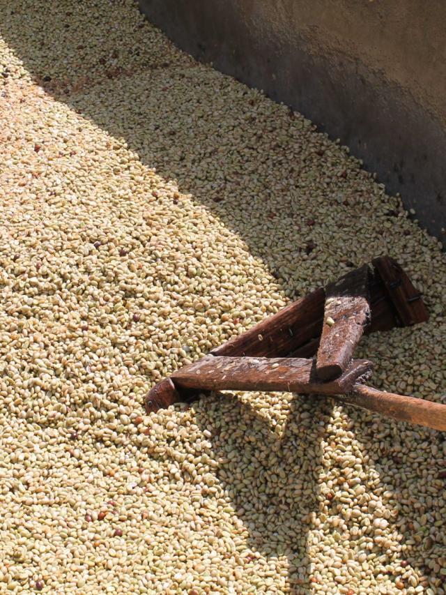 Etiopien Gedeb Chelichele Lysristet