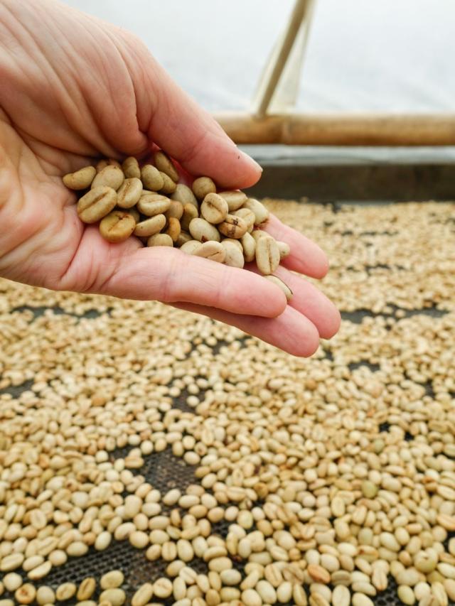 LifestyleB2CQuaternaryImageWebName  