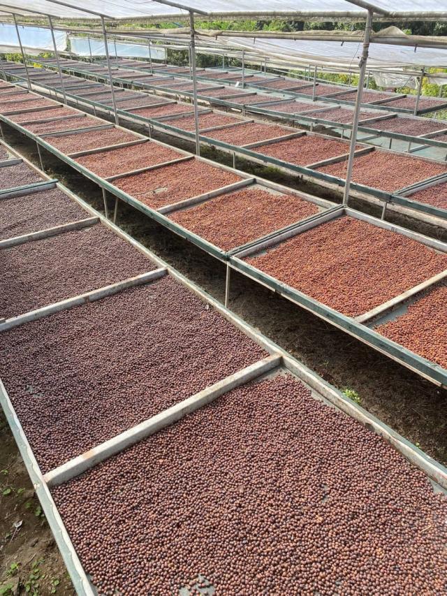 LifestyleB2CQuaternaryImageWebName  