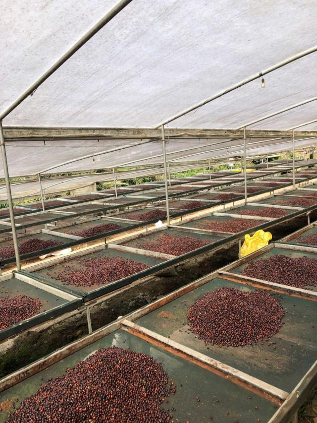 LifestyleB2CTertiaryImageWebName 