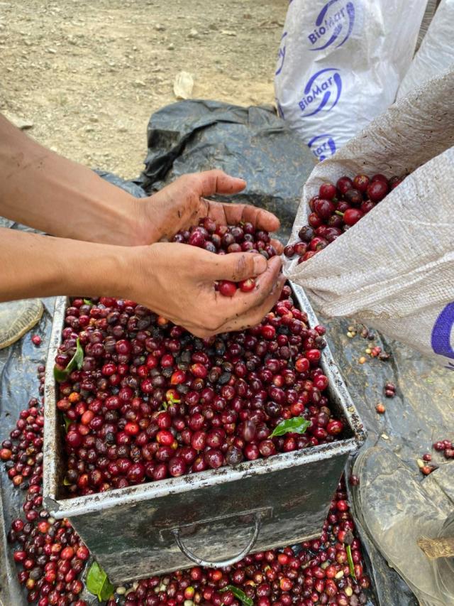 Costa Rica Corazon de Jesus Lysristet