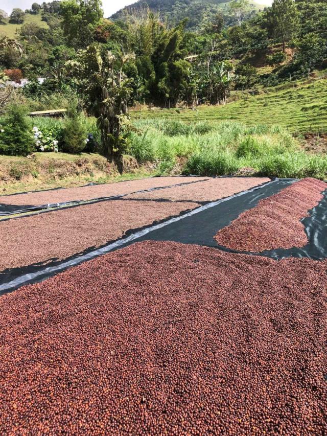 Costa Rica Corazon de Jesus Lysristet