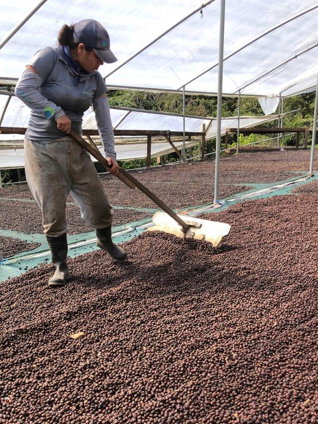 Costa Rica Corazon de Jesus Lysristet