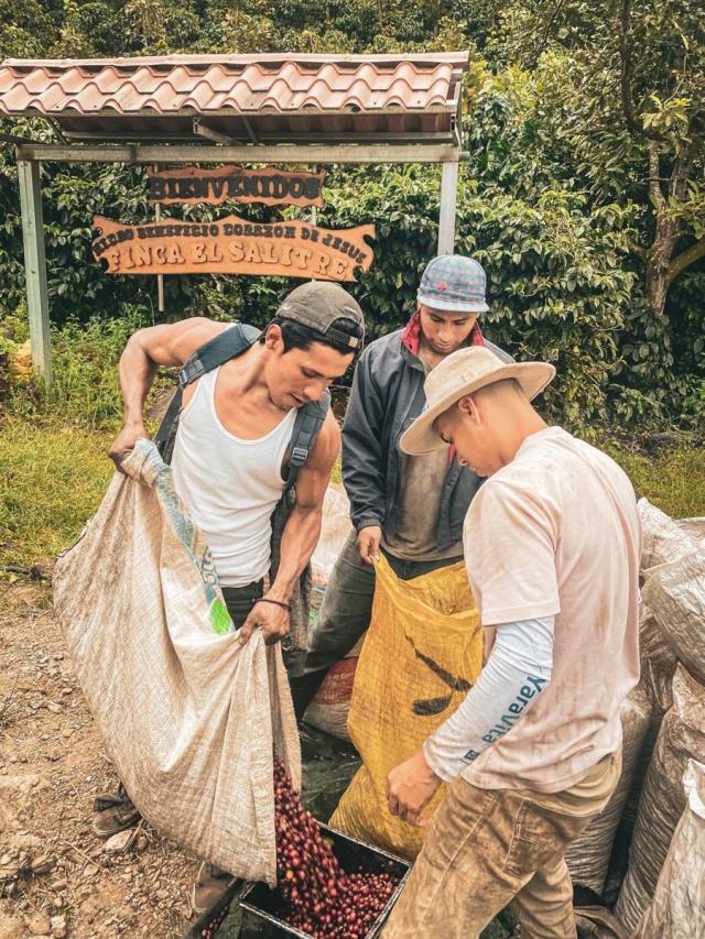 LifestyleB2CPrimaryImageWebName 