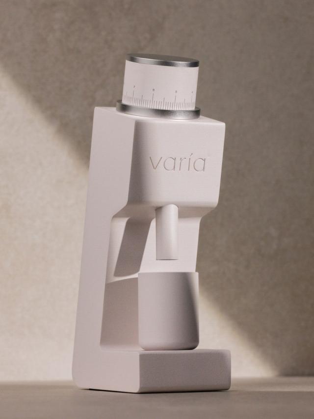 LifestyleB2CPrimaryImageWebName 