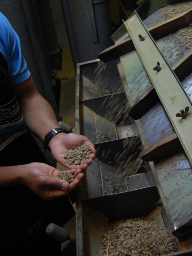 LifestyleB2CTertiaryImageWebName 