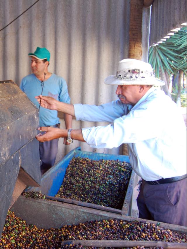 LifestyleB2CSecondaryImageWebName 