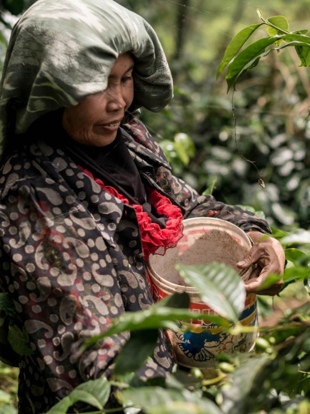 LifestyleB2CPrimaryImageWebName 