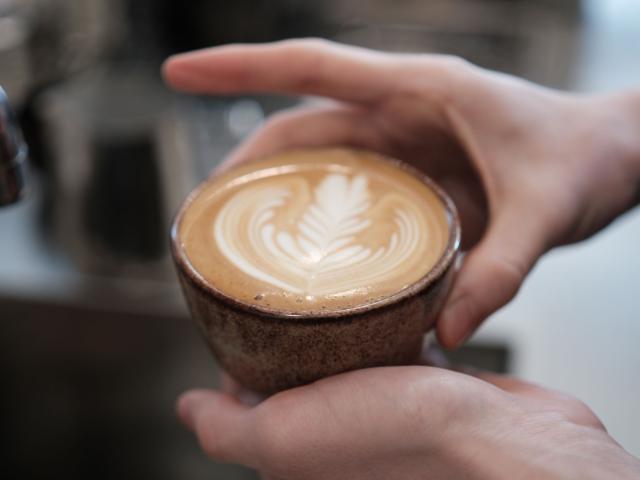 hænder holder en kop kaffe i en keramikkop, på toppen er flot latteart