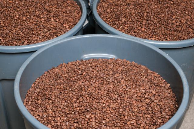 Lysristet kaffe i store tønder