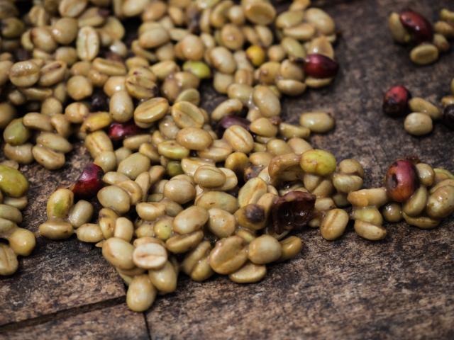 Afpulpede kaffebønner på træbord