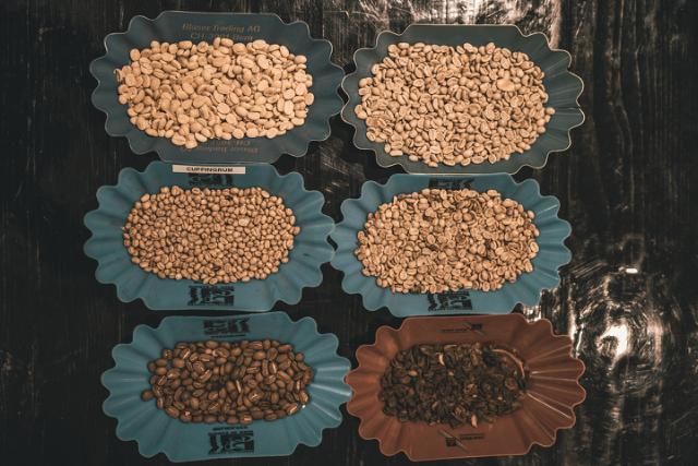 Grønne og brune kaffebønner fordelt i seks blå bakker