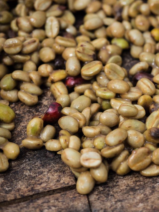 grønne bønner ligger på jorden