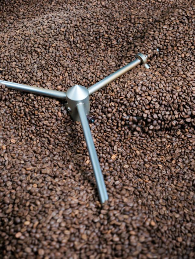 friskristet kaffebønner ligger i ristemaskinen og køler af