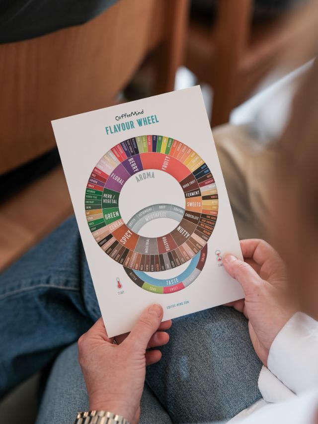 en kvinde holder et billede af smagshjulet