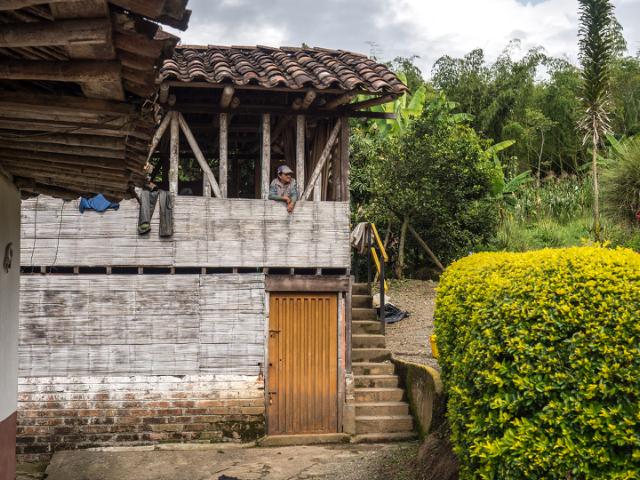 Kaffearbejder står og kigger ud gennem stolperne på en beboelsesejendom i en kaffeplantage