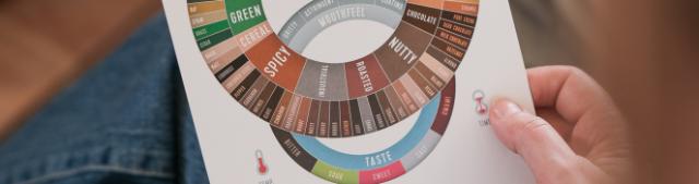 En person holder et kaffesmagshjul trykt på et papir i hænderne