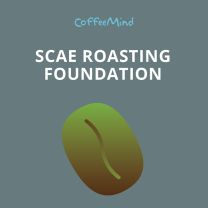 SCAE Roasting Foundation