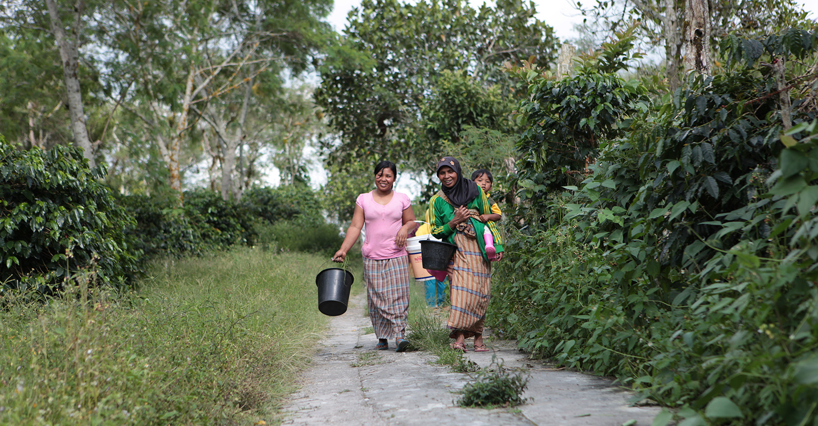 Coffee farmers on Sumatra