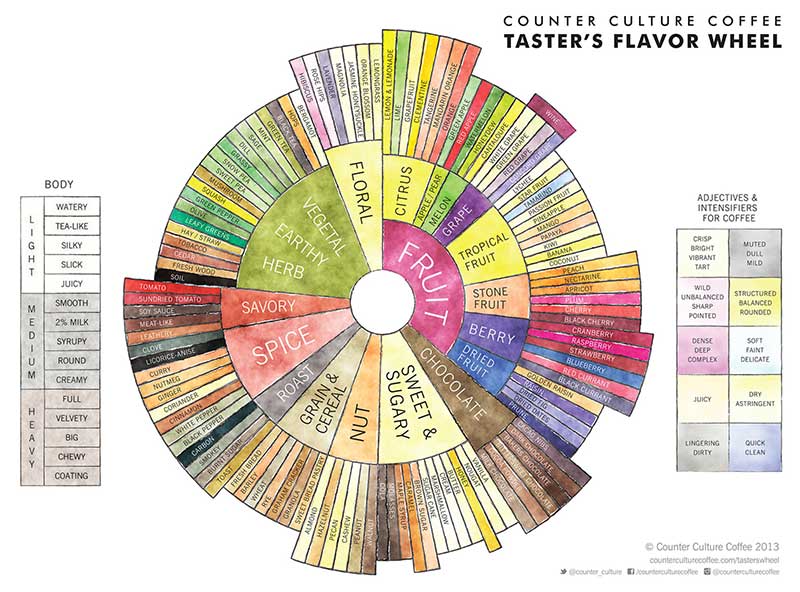 Counter Flavor Wheel