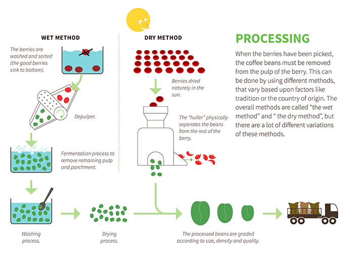 Coffee Processing