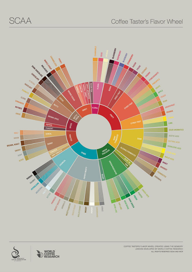 New SCAA Flavor Wheel