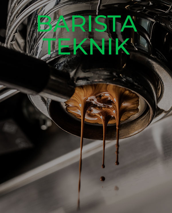 Barista Teknik Kursus