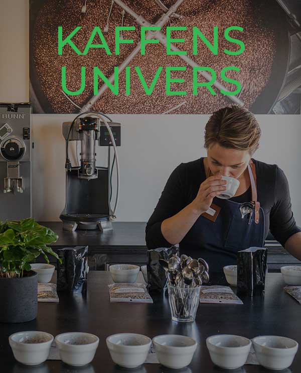 Kaffens Univers Kursus